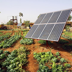 Large-Scale Agri Operations
